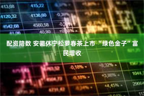 配资陪数 安徽休宁松萝春茶上市 “绿色金子”富民增收