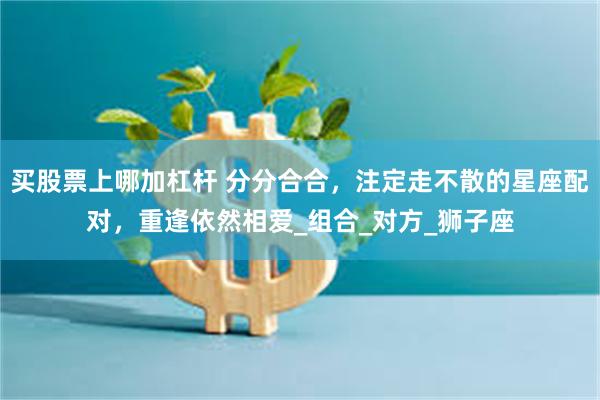买股票上哪加杠杆 分分合合，注定走不散的星座配对，重逢依然相爱_组合_对方_狮子座