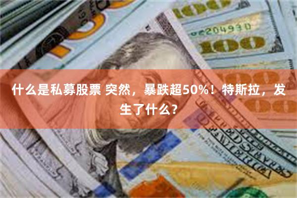 什么是私募股票 突然，暴跌超50%！特斯拉，发生了什么？