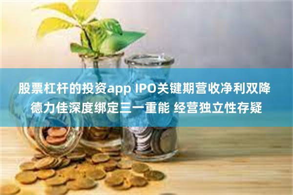 股票杠杆的投资app IPO关键期营收净利双降 德力佳深度绑定三一重能 经营独立性存疑