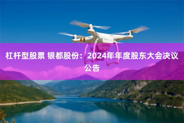 杠杆型股票 银都股份：2024年年度股东大会决议公告