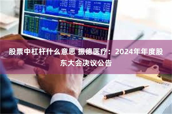 股票中杠杆什么意思 振德医疗：2024年年度股东大会决议公告