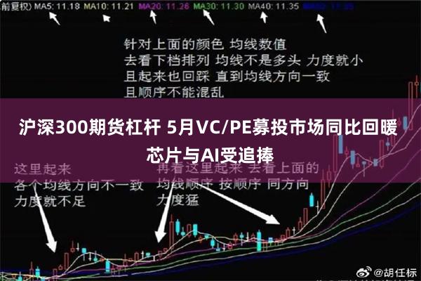 沪深300期货杠杆 5月VC/PE募投市场同比回暖 芯片与AI受追捧