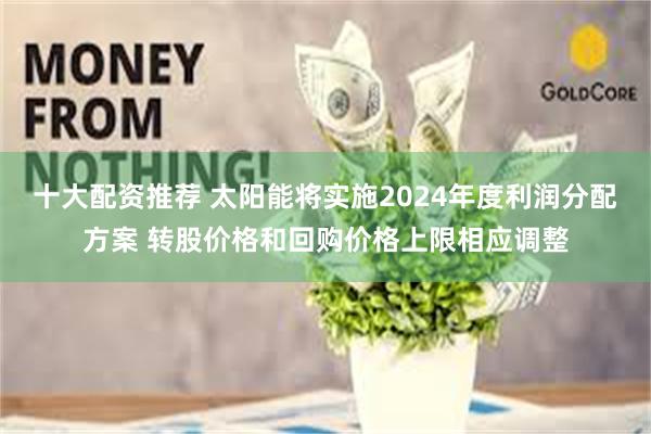 十大配资推荐 太阳能将实施2024年度利润分配方案 转股价格和回购价格上限相应调整